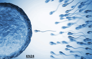 Male Infertility Problem Solution
