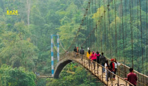 Meghalaya-People-Reaction-on-Media-300x176.avif
